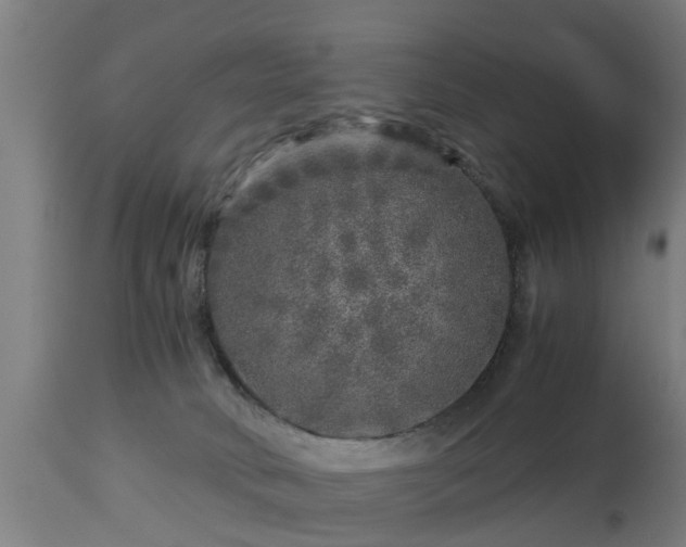 X0000112880034200908281648