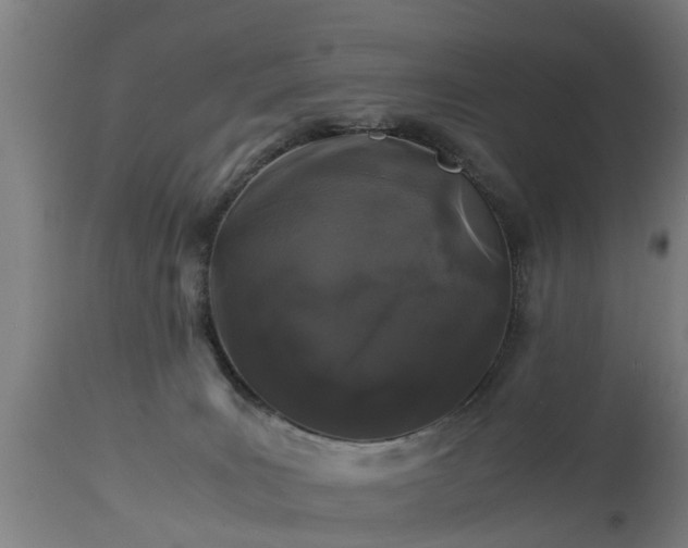 X0000112880035200908281648