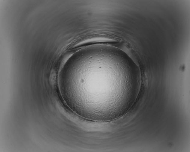 X0000112880036200908281648