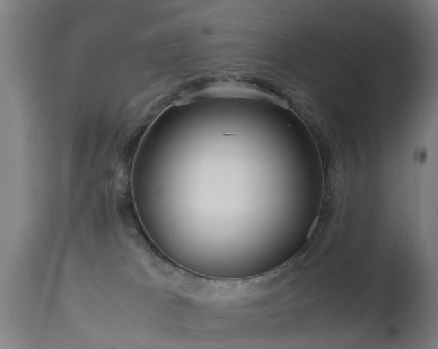 X0000112880037200908281648