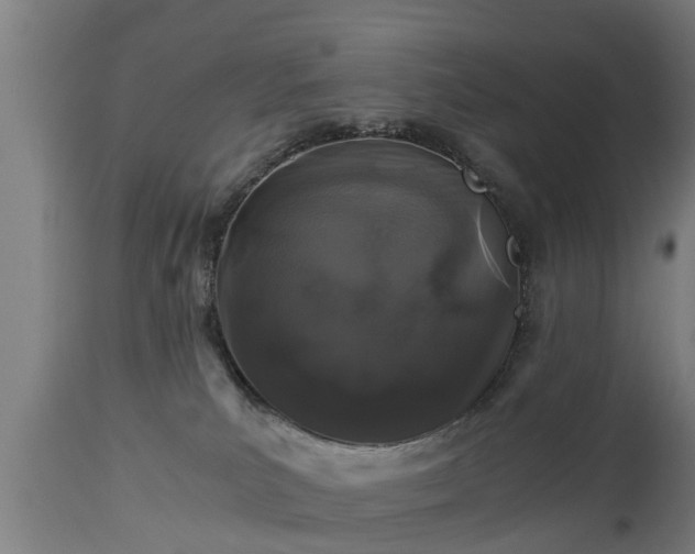 X0000112880039200908281648