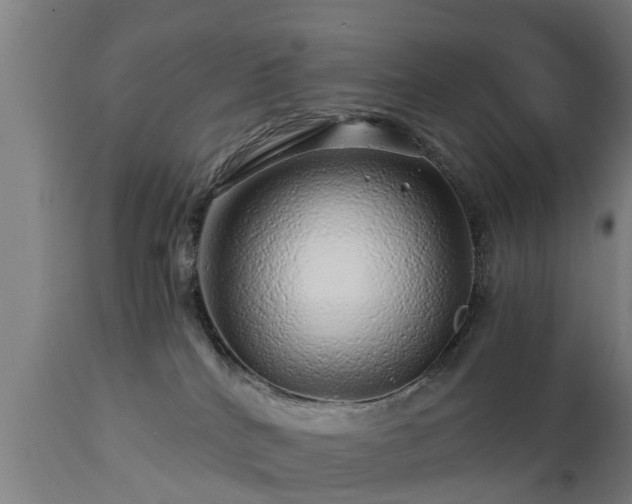 X0000112880040200908281648