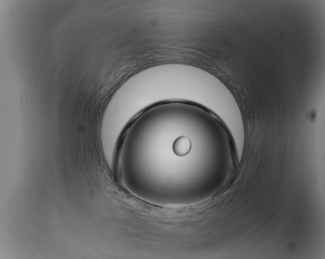 X0000112880041200908281648