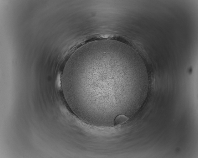 X0000112880042200908281648