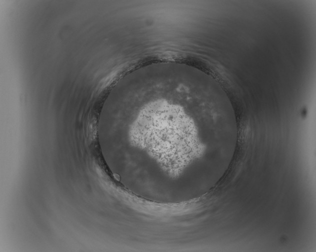 X0000112880043200908281648