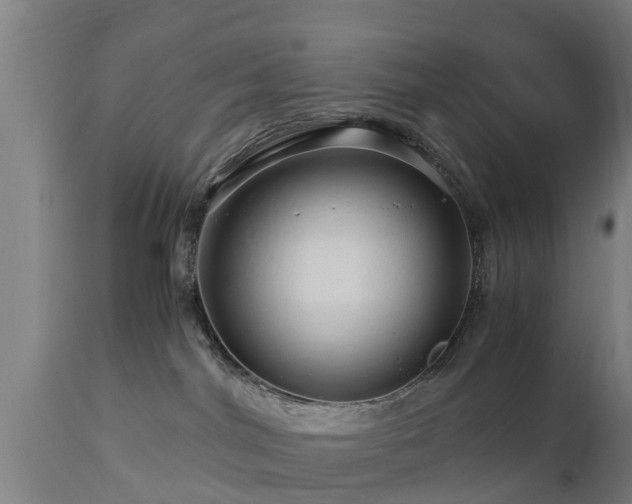 X0000112880044200908281648