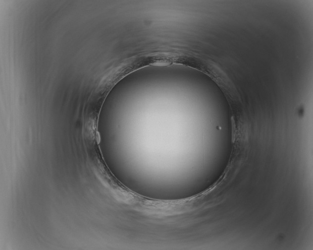 X0000112880045200908281648