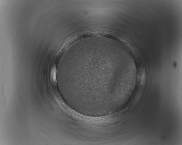 X0000112880046200908281648