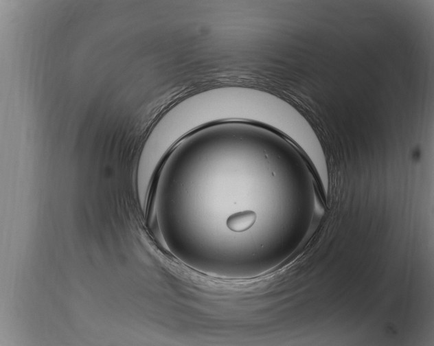 X0000112880047200908281648