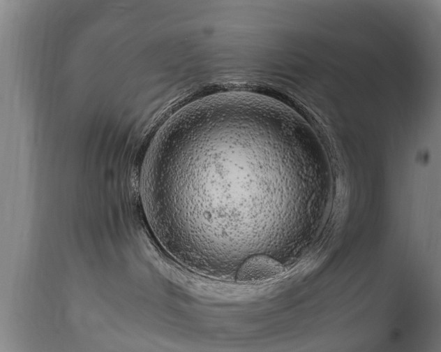 X0000112880048200908281648