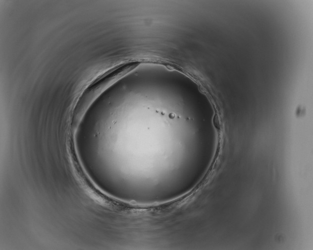 X0000112880049200908281647