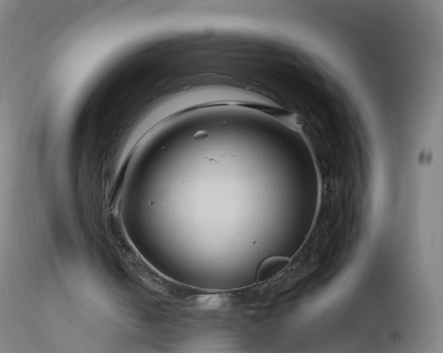 X0000112880050200908281647