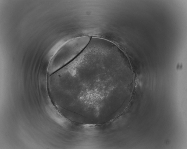 X0000112880052200908281647