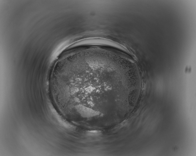 X0000112880053200908281647