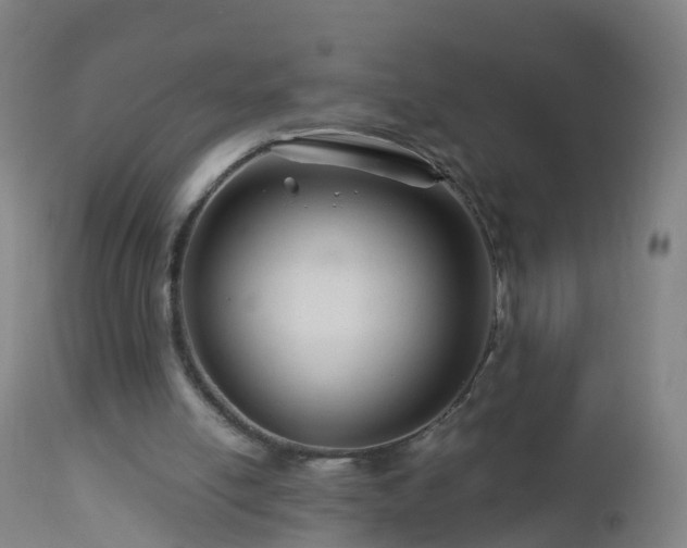 X0000112880054200908281647