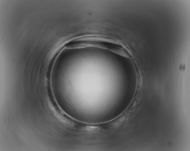 X0000112880055200908281647