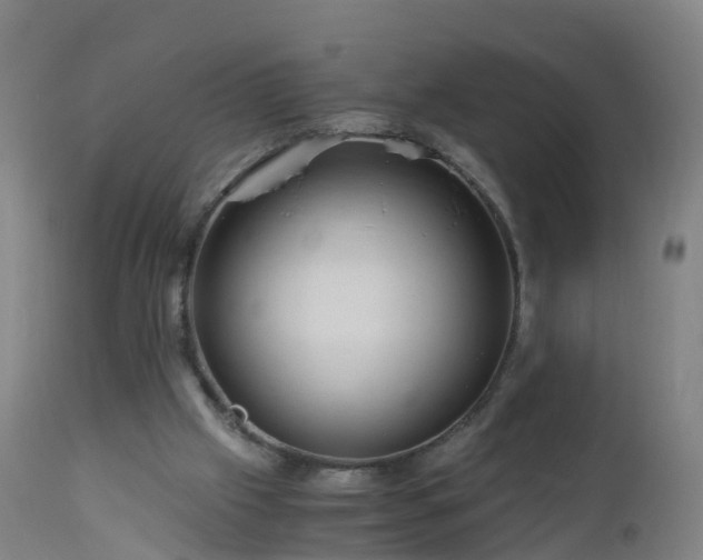 X0000112880057200908281647