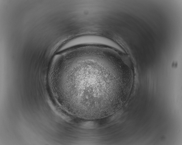 X0000112880058200908281647