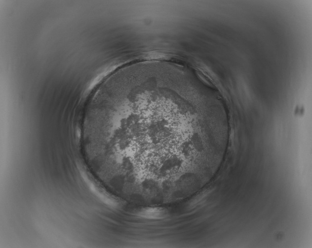 X0000112880059200908281647