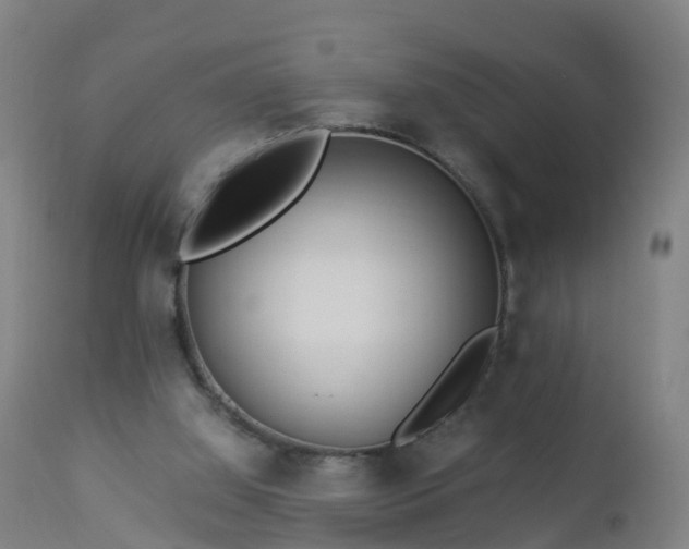 X0000112880060200908281647