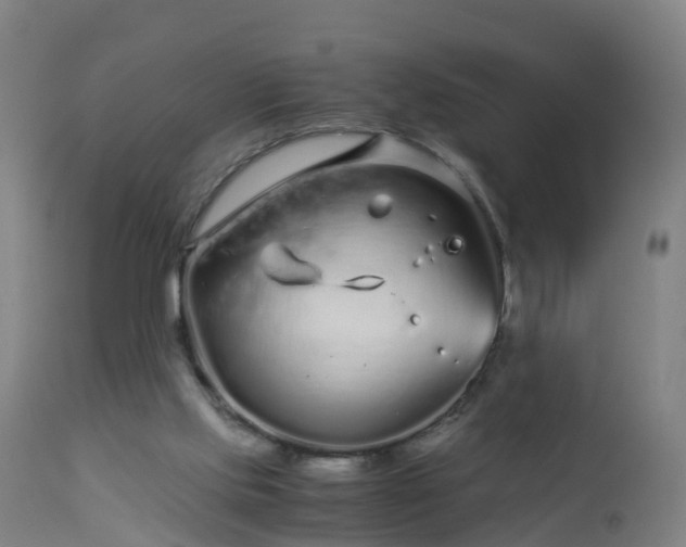 X0000112880061200908281647