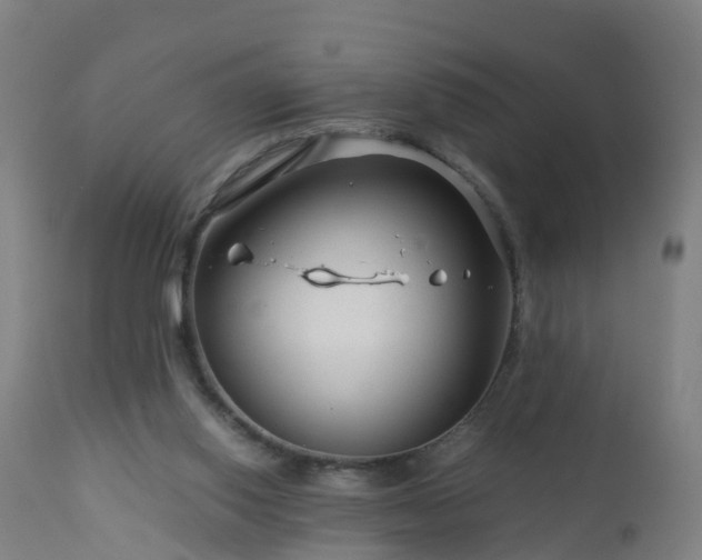 X0000112880062200908281647