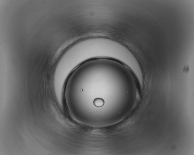 X0000112880064200908281647