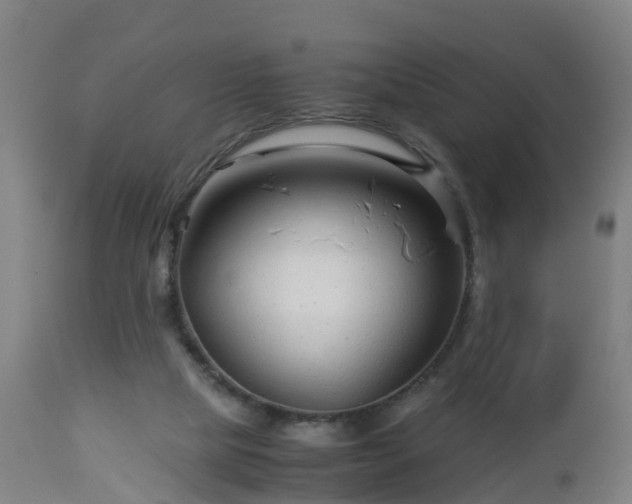 X0000112880065200908281647