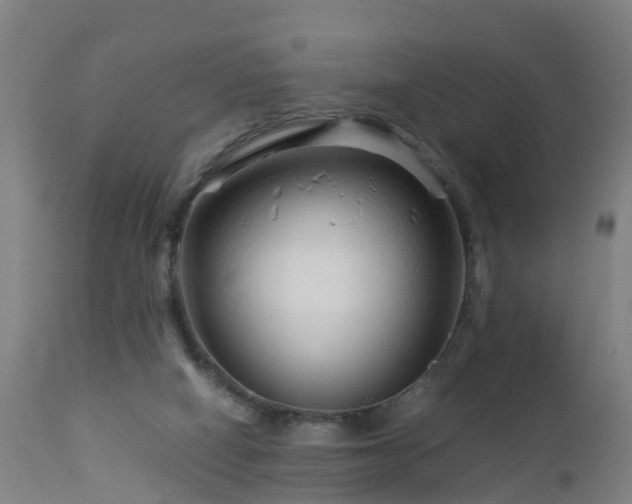 X0000112880066200908281647