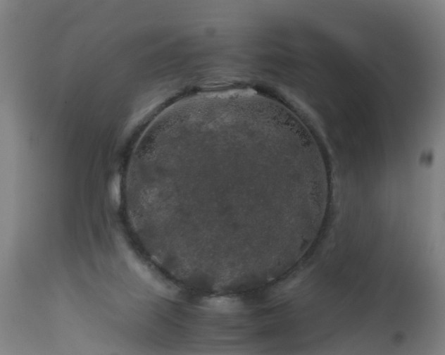 X0000112880067200908281647