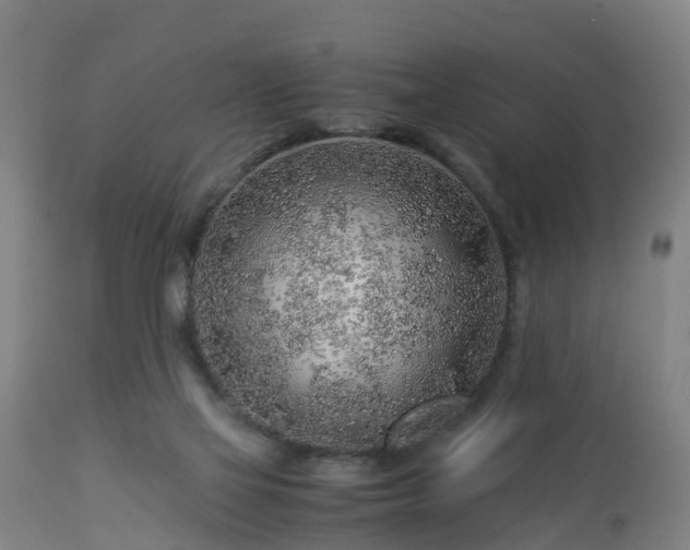 X0000112880069200908281647