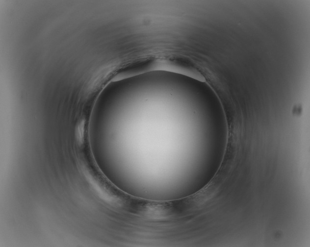 X0000112880070200908281647