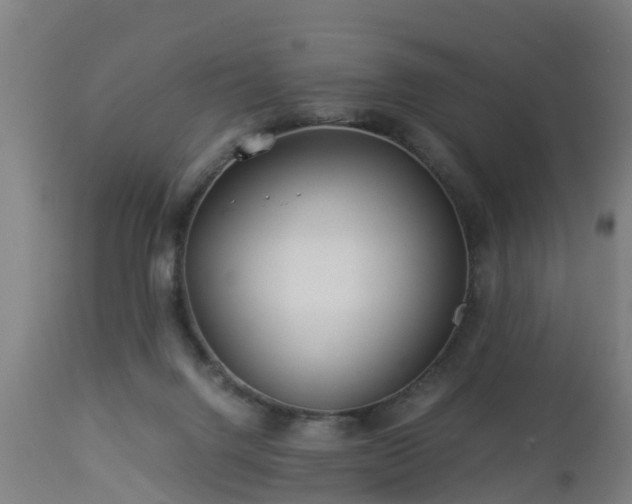 X0000112880072200908281647