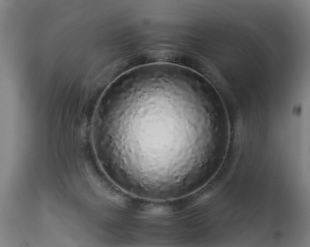 X0000112880073200908281647