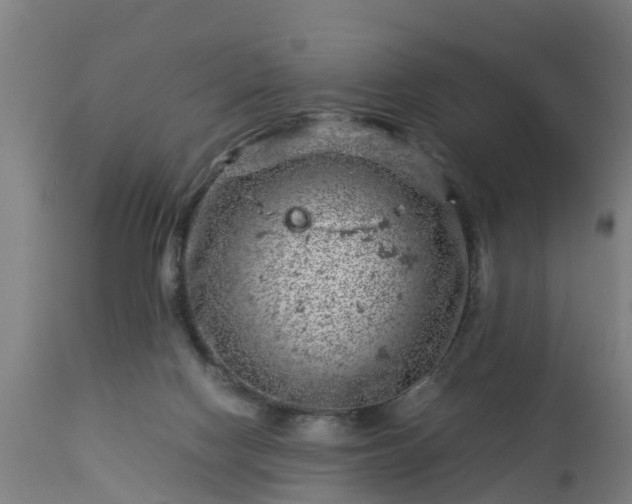 X0000112880074200908281647