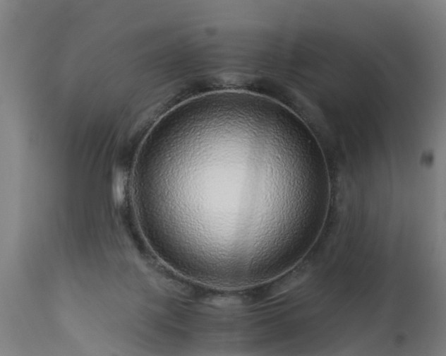 X0000112880075200908281647