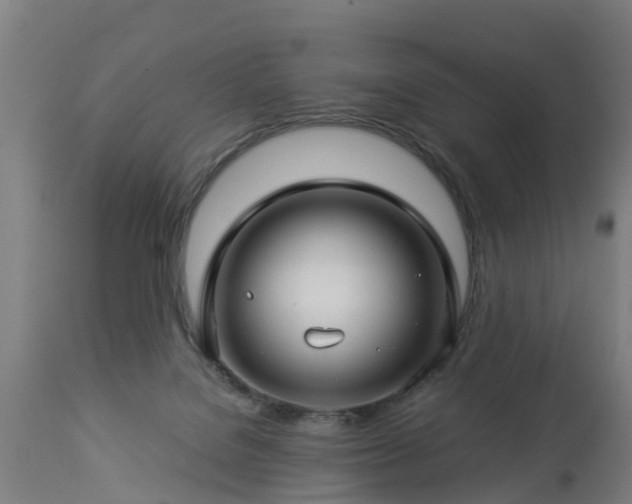 X0000112880076200908281647