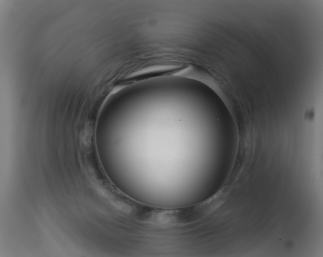 X0000112880078200908281647