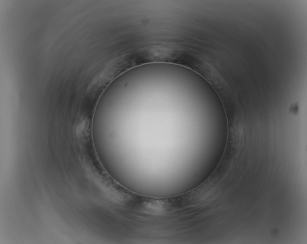 X0000112880079200908281647