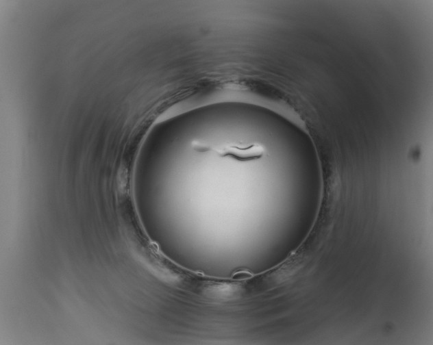 X0000112880081200908281647