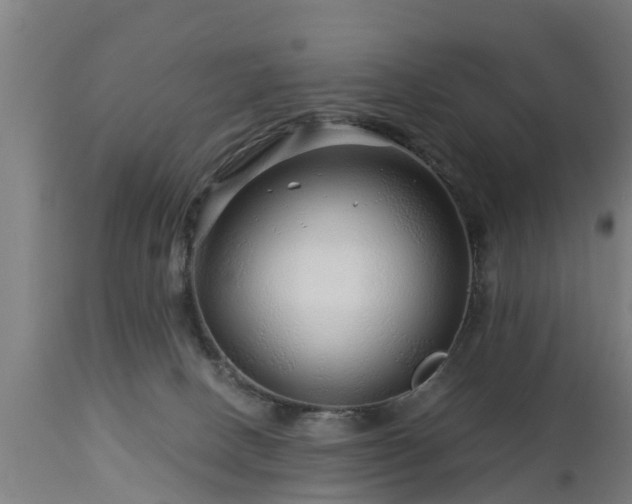 X0000112880082200908281647