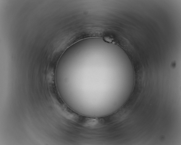 X0000112880083200908281647