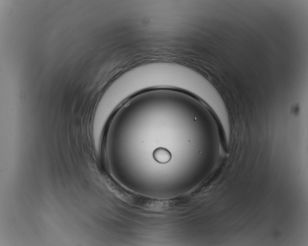 X0000112880084200908281647