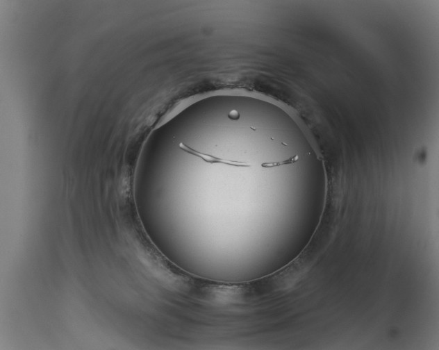 X0000112880085200908281647