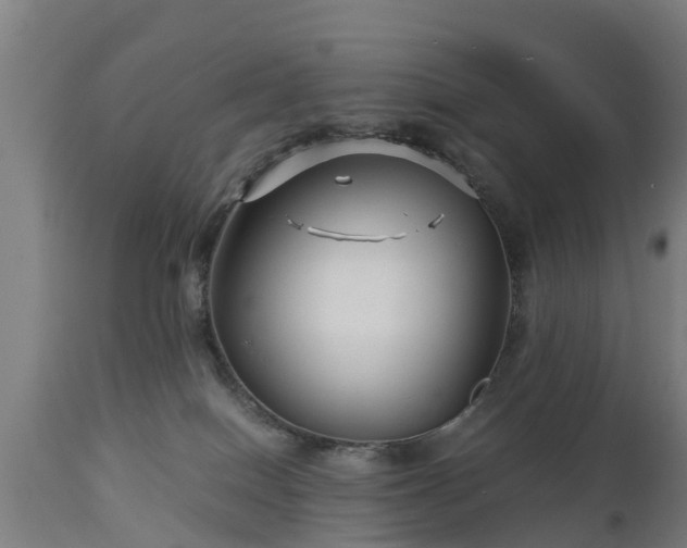 X0000112880086200908281647