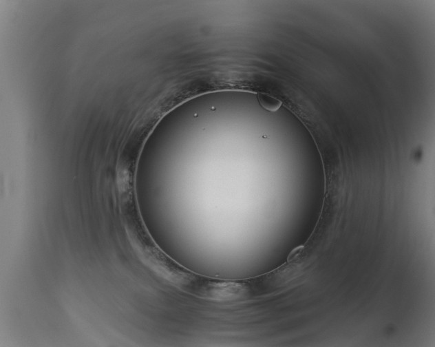 X0000112880087200908281647