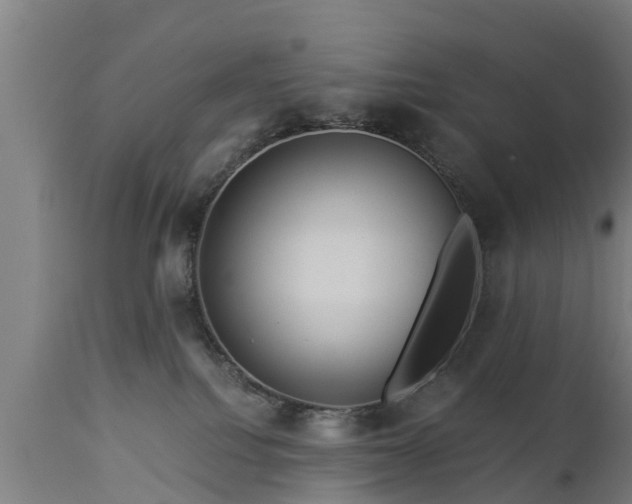 X0000112880088200908281647