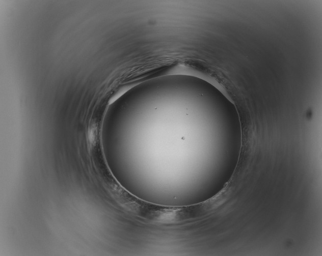 X0000112880090200908281647