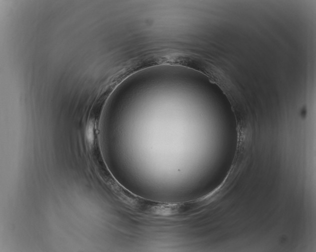 X0000112880094200908281648