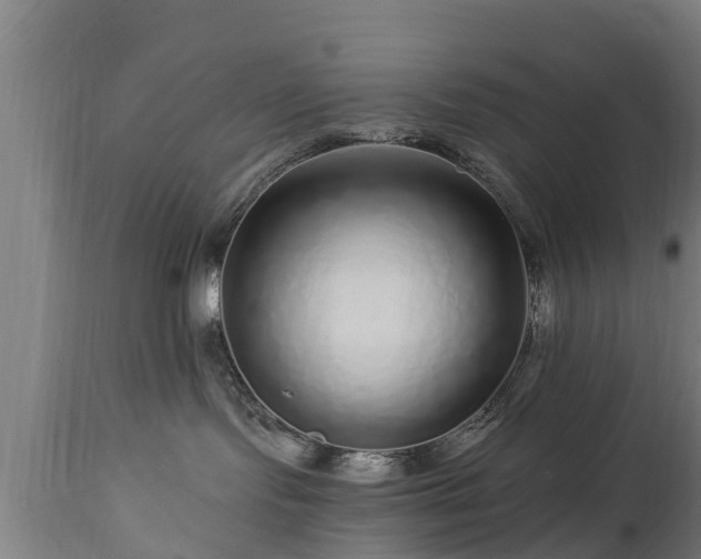 X0000112880095200908281648